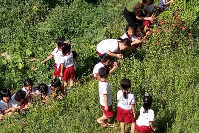 Hoạt động trải nghiệm của cô và trẻ